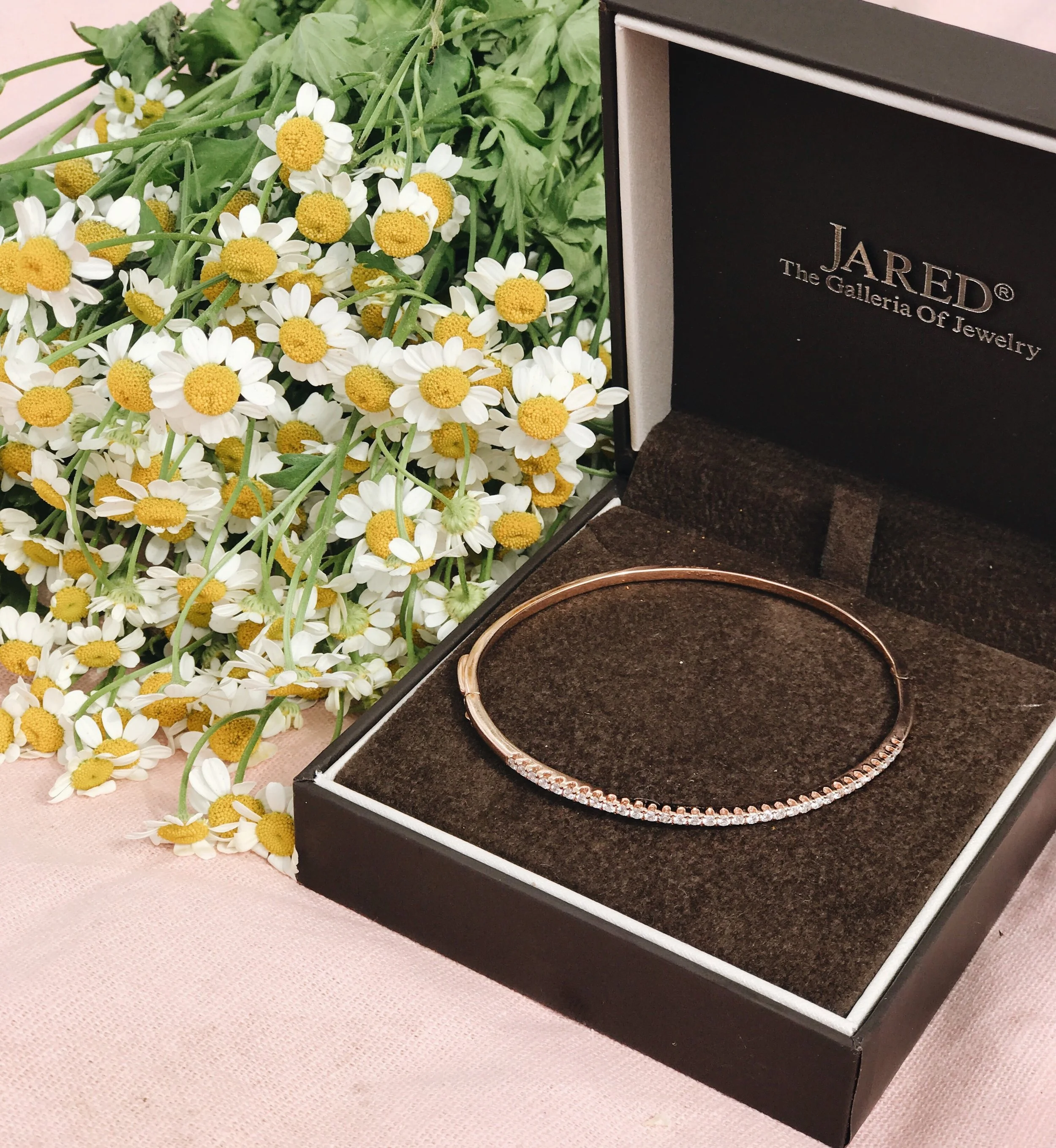Jared shop jewelry box
